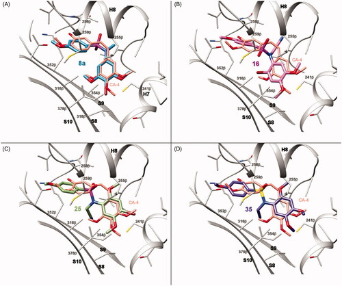 Figure 6. Consensus docking poses for representative compounds of each series: (A) 8a (carbons in dodger blue) of series 1, (B) 16 (carbons in magenta) of series 2, (C) 25 (carbons in yellow-green) of series 3, (D) 35 (carbons in purple) of series 4. The secondary elements of the colchicine site are shown in a silver cartoon representation and labelled. In every panel, the X-ray structure of combretastatin A-4 (CA-4) in thinner sticks with carbons in orange is shown superimposed for comparison. Amino acids within 5 A of the ligands are shown as thin sticks.