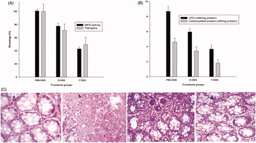 Figure 4 Effect of curcumin dispersion and optimized C-SBLNs formulation on (A) inflammatory biomarkers (MPO and TNFα) (B) oxidative stress biomarkers (LPO and protein carbonyl content) and (C) histopathological evaluation of colon of (a) PBS-treated, (b) PBS-DSS treated, (c) curcumin-DSS treated and (d) C-SBLNs-DSS treated guinea pig, respectively. The values of biomarkers of DSS-treated group were considered to be 100 %. Optimized formulation showed statistically significant reduction in per cent level of biomarkers as well as histopathological changes with respect to DSS-treated control (p<.001) as well as curcumin (p<.05).