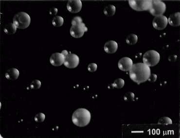 Figure 2. A micrograph of the progesterone-containing PLGA microspheres.