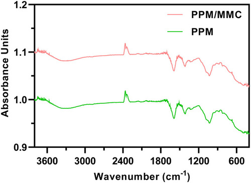 Figure 2 Fourier transform infrared (FT-IR) spectroscopy of PPM and PPM/MMC (MMC-loaded PPM).