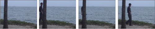 Figure 15. Frames number 100, 487, 491, and 500 from the video dataset.