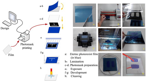 Figure 1. The moulds fabrication for microfluidic colour-changing devices by using EtertecHT-115T dry film photoresist. (a) Peel off one of the translucent substrates from dry film photoresist. (b) Laminate the dry film photoresist (10 cm ×10 cm) on the cleaned mirror stainless steel substrate (10 cm ×10 cm ×2.5 cm) by using an office laminator at 110°C. (c) Overlap the three sheets (PMMA cover plate, prepared photomask sheet and mirror stainless steel substrate) as shown. (d) Fix around with clips to avoid light leaking. (e) Irradiate under 365 nm UV lamp at a distance of 15 cm. (f) Peel off the other translucent substrate from the dry film photoresist. (g) Immerse in 1% (mass concentration) Na2CO3 solution for developing. (h) Clean the developed structure with deionised water and dry it in nitrogen stream.