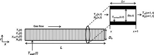 FIG. 1 Computational domain of the model and a single computational cell.