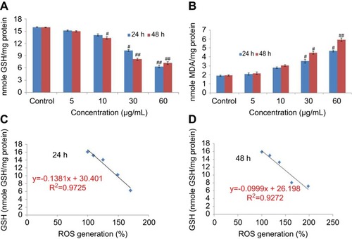 Figure 6 (A) Levels of glutathione. (B) Lipid peroxide in HaCaT cells after exposure to yttria-stabilized zirconia nanoparticles for 24 and 48 hrs. (C) Correlation of the ROS generation (%) and GSH level in HaCaT cells. Each value represents the mean ± SE of three experiments. #p<0.05 and ##p<0.01 vs control.Abbreviations: GSH, glutathione; ROS, reactive oxygen species.