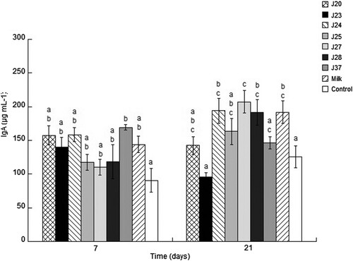 Figure 3. Evaluation of total IgA in serum following the administration of fermented milk. Different letters between bars for time indicate significant differences up to 7 and 21 days (p < .05).