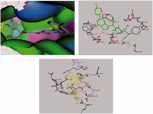 Figure 5. Docking of the PLX4032 inhibitor (Upper panel in green) and compound 11 (Lower panel in yellow) into the V600E-B-RAF kinase domain. Hydrogen bonds are shown in red.
