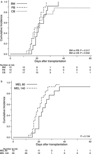 Figure 2. Cumulative incidence of neutrophil engraftment after FBM regimen. (A) Incidence rate of neutrophil engraftment by types of graft source. (B) Incidence rate of neutrophil engraftment separated by the MEL140 and MEL80 groups.