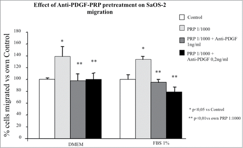 Figure 7. Effect of different doses of anti-PDGF-PRP pre-treatment on SaOS-2 migration in presence or in absence (DMEM) of FBS 1% as chemotactic agent. Before migration, cells were exposed for 1 hour to PRP at 1/1000 dilution. The migration assay was performed in Boyden Chamber in 4 hours. Results are expressed as means of percentage of cells migrated versus control.