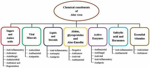 Figure 2. Chemical constituents of Aloe vera and its biological properties (Balaji et al. Citation2015).