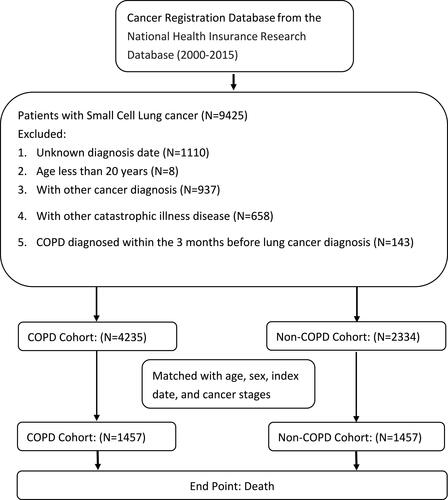 Figure 1 Flowchart of the study patients with newly diagnosed small cell lung cancer with and without COPD.
