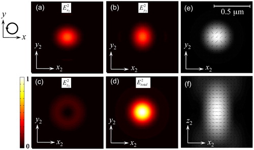 Figure 3. Numerical calculation of a–d intensity and e, f polarization distributions in focal region of high NA OL (NA = 1.4, n = 1.515): input light beam is circularly polarized, as shown in left; intensity distributions in (x2y2) plane are calculated for different components: a Display full size, b Display full size, c Display full size and d Display full size; polarization distributions are calculated for both e (x2y2) plane and f (x2z2) plane respectively; small lines and their directions indicate polarization directions of light in focal region and their lengths are proportional to field strength; intensities of all images are normalized to total intensity