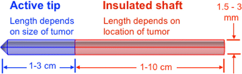 Figure 1. Schematic of plasmonic heating probe. The probe is a cannula with two main parts: a distal active tip made of a plasmonic nanocomposite (blue) and a proximal insulated shaft (pink). Therapeutic treatment is achieved when the active tip is brought in contact with the target area and exposed to laser source.