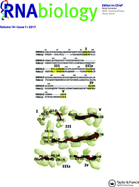 Cover image for RNA Biology, Volume 14, Issue 1, 2017