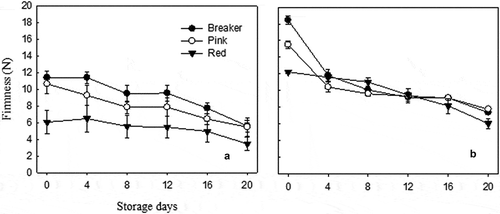 Figure 2. Firmness of “TY Megaton” (A) and “Yureka” (B) tomato cultivars as affected by maturity stages during the 20 days of storage at 12°C and 85 ± 5% RH. Each data point is the mean of five sample replicates±standard error.Figura 2. Firmeza de los cultivares de tomate “TY Megaton” (A) y “Yureka” (B) en relación con las etapas de maduración durante 20 días de almacenamiento a 12°C y a una RH de 85 ± 5%. Cada dato representa la media de cinco réplicas de la muestra ± error estándar.