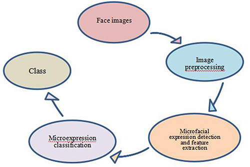 Figure 1 Micro-expression recognition flowchart.