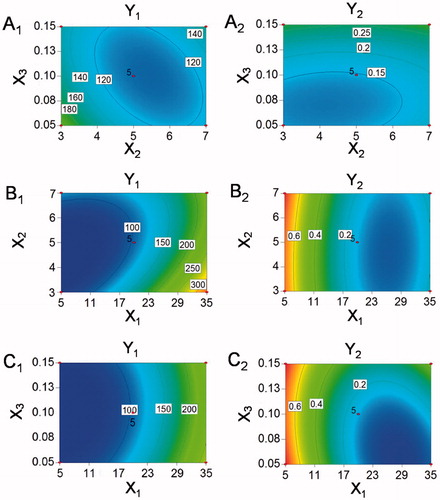 Figure 1. The contour plots of the effect of independent factors on responses of particle size Y1 and PDI Y2. (A1) X2 and X3 on response Y1, (B1) X1 and X2 on response Y1, (C1) X1 and X3 on response Y1. (A2) X2 and X3 on response Y2, (B2) X1 and X2 on response Y2, (C2) X1 and X3 on response Y2.