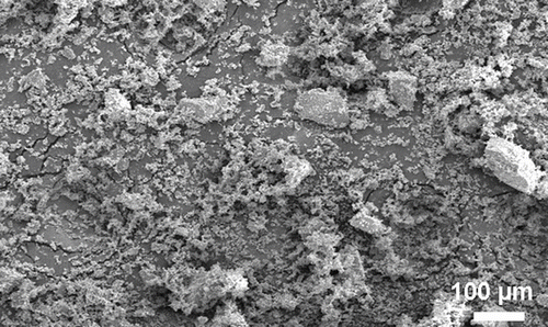FIG. 8 Scanning electron microscopy image of the discharged sorbent particles.