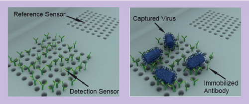 Figure 1. An optofluidic nanoplasmonic biosensor for direct detection of live viruses from biological media.Adapted with permission from Yanik AA, Huang M, Kamohara O et al. An optofluidic nanoplasmonic biosensor for direct detection of live viruses from biological media. Nano Lett. 10(12), 4962–4969 (2010).
