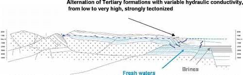 Fig. 5 Schematic hydrogeological cross-sections between fractured aquifer through the tectonic line and porous media in the plain. Hatched area: saturated zone in fractured aquifer; cross: metamorphic basement. Note that the box is out-of-scale and it is intended to highlight the difference in elevation of the groundwater from the karstic to the porous aquifers (after Pilli Citation2006).