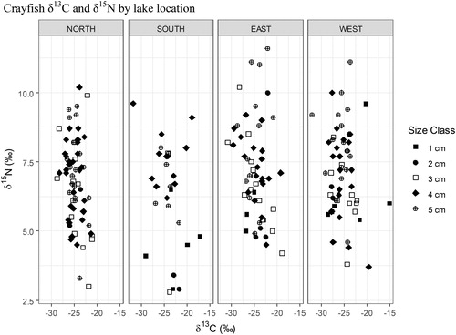 Figure 13. 2017 Buffalo Lake northern crayfish trophic diversity by lake location. Crayfish trapped along eastern and western lake shorelines have highest average δ15N values of 7.2‰. For crayfish trapped on the northern shoreline the average δ15N was 6.8‰, and for crayfish trapped on the southern shoreline the average δ15N was 6.3‰. One-way ANOVA for location as factor of δ15N values, P = 0.119. Post hoc analysis of one-way ANOVA did not detect a significant difference between locations. Lack of significant differences observed may be attributed to habitat heterogeneity between lake locations and/or crayfish movement between locations.