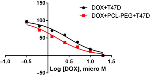 Figure 17. Normalized MTT assay data for free and encapsulated doxorubicin on T47D for 24-h exposure.