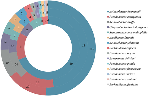 Figure 2 Bacterial distribution of NFGNB-induced PNM (Out ring: Distributions of whole NFGNB enrolled in this study; Middle ring: distribution of NFGNB isolated from the survived PNM patients; Inner ring: distribution of NFGNB isolated from the non-survived PNM patients).