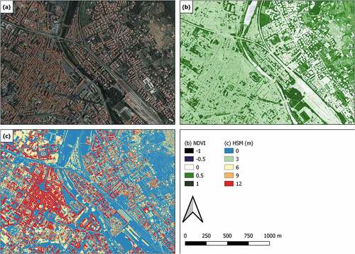 Figure 3. Small examples of the raster layers used: (a) RGB orthopoto from UltraCam Xp camera, (b) Normalized difference vegetation index (NDVI) from UltraCam Xp data and (c) LiDAR layer.