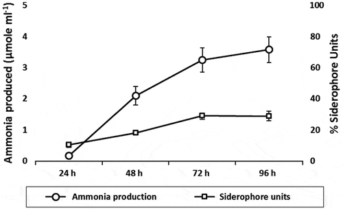 Figure 5. Production of ammonia in peptone water broth and siderophore production in iron-free MM9 medium supplemented with 1% glucose