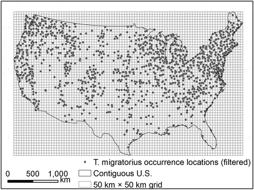 Figure 3. T. migratorius occurrence locations (eBird) filtered using a 50 km × 50 km grid.