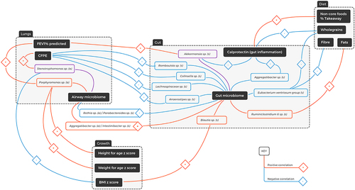 Figure 3. Diagrammatic representation of spearman correlations in the multisystem context of cystic fibrosis. (s) = stool genera; (a) = airway genera; FEV1% = percentage predicted forced expiratory volume over one second; CFPE = CF pulmonary exacerbations in the last three years. Blue line = negative correlation, red line = positive correlation, purple line = both positive and negative correlations.