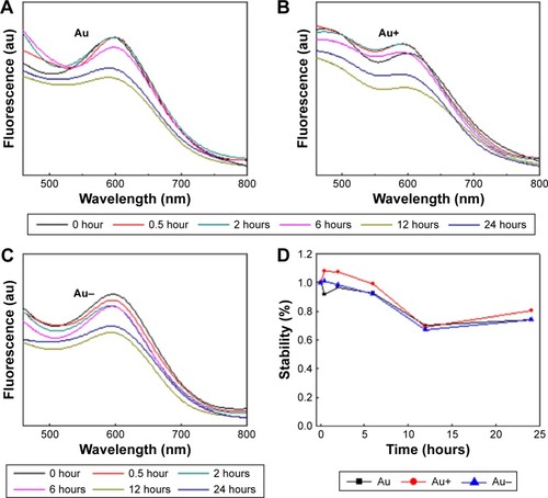 Figure 2 Stability of gold clusters.Notes: (A–C) Time-dependent UV absorption of Au, Au+, and Au NCs in the blood plasma. (D) Changes of luminescence intensity (%) in blood plasma over time.Abbreviations: UV, ultraviolet; Au, gold; NCs, nanoclusters; au, arbitrary units.