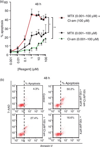 Fig. 6.  The pharmacological PAD-inhibitor Cl-am synergistically increases the cytotoxic effects of the cancer drug methotrexate in PC3 prostate cancer cells. (a) PC3 cells were treated with Cl-am alone (0.001–100 µM) or with Cl-am fixed at 100 µM in combination with MTX (0.001–100 µM); MTX (0.001–100 µM) without any Cl-am was also used. Over a 48-h period, cells treated with 1 µM Cl-am alone had a slightly reduced viability showing average apoptosis levels of 6% compared to the highly viable, untreated cells (4% apoptosis). PC3 cells treated with 1 µM MTX alone showed a significant reduction in viability (apoptosis at 22%) compared to control cells. Combined treatment of 1 µM Cl-am with 1 µM MTX increased apoptosis to around 47%, indicating a synergistic effect of Cl-am and MTX treatment on PC3 cancer cell viability over a 48-h period. (b) Dot plot presentation of apoptosis (Annexin V) of PC3 cells after the 48-h incubation period with maximum concentrations of MTX, Cl-am (100 µM) or Cl-am/MTX from (a). *P<0.05, ***P<0.001.