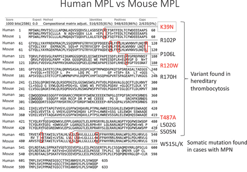 Figure 1. Comparison of human and mice MPL proteins.