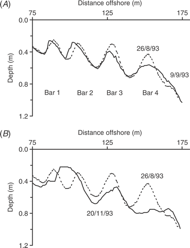 Fig 3. Bottom profiles of sand bars on (A) 26 August (solid line) and 9 September (broken line) 1993 and (B) 26 August (solid line) and 20 November (broken line) 1993.