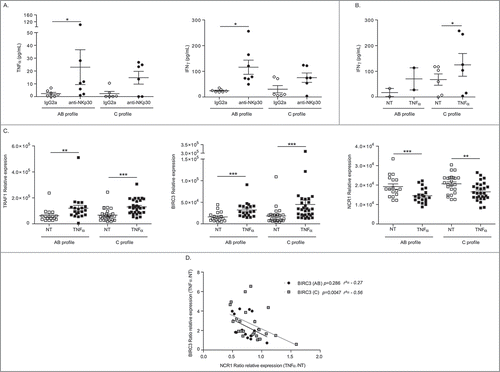 Figure 4. Anti-correlations between BIRC3 and NCR1 in NKp30C individuals. (A-B) Th1 cytokine release from NK cells stimulated through NKp30 engagement (A) or rTNFα (B) in AB versus C NKp30 profile as determined by ELISA at 12 h (A) and 24 h (B). (C) RT-PCR of all three transcripts (TRAF1, BIRC3, NCR1) in blood –derived-NK cells, performed 12 h post-stimulation with 50 ng/mL of TNFα according to the NKp30 isotype profiles. (D) Spearman correlations between NCR1 and BIRC3 transcript abundancy in blood NK cells post-TNFα stimulation in all patients, separating NKp30 AB from NKp30C individuals. Wilcoxon matched pairs test (A-B) Student paired t-test (C): * p < 0.05, ** p < 0.01, *** p < 0.001.
