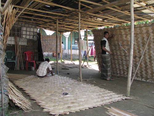 Figure 4. Making bamboo fences in temporary shade (Photo credit: Sharif A. Mukul).