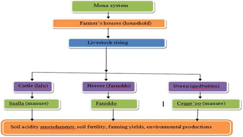 Figure 7. The production sources of organic manure or indigenous fertilizer (Source: The author, 2019).
