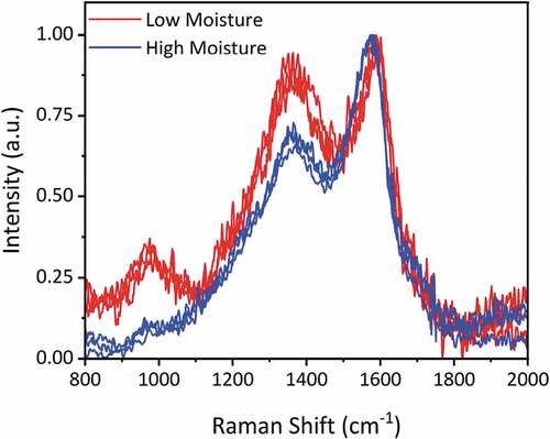 Figure 5. Normalized Raman spectra of soot from the combustion of low and high moisture woods.
