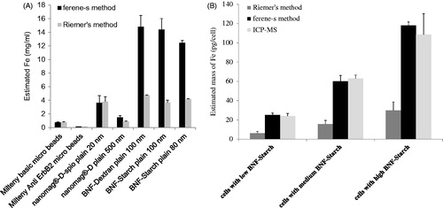 Figure 4. Comparison with Riemer’s method. Iron oxide nanoparticles with various formulations (A) and intracellular BNF-Starch iron oxide nanoparticles (B). Identical samples for each formulation of nanoparticles or DU145 cells loaded with BNF-Starch were prepared in duplicates.