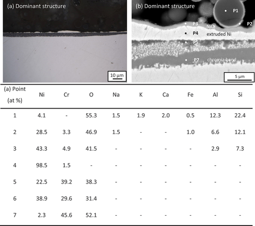 Figure 6. (A) Cross-sectional optical micrograph and (b) SEM image of 10 wt.% chloride salt +90 wt.% ash covered Ni-25Cr (dominant structure) after 300 h reaction in Ar-60CO2-20 H2O at 650°C.