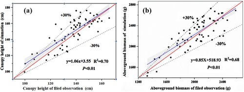 Figure 9. Scatter plots depicting the observed and simulated S. alterniflora height (a) and aboveground biomass (b). The blue solid line is Linear regression curve of measured values and simulated value of the S. alterniflora; The red solid line is standard line (y = x); the black dashed line is ± 30% error range.