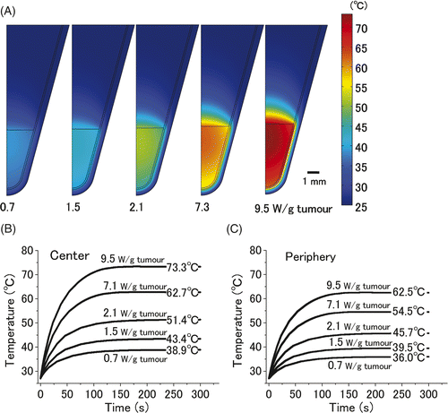 Figure 2. Computer simulation of thermal gradient in a small in vitro cell pellet surrounded by air. Thermal gradients of the 20 µL cell pellet, which was heated with five different heat doses (0.7, 1.5, 2.1, 7.3, and 9.5 W/gtumour) for 300 s are shown (A). The time-dependent change in the temperature at the centre (B) and periphery of pellet (C). Equilibrium temperatures at the centre of the tumour on administration of the above-mentioned heat doses were 38.9°, 43.4°, 51.4°, 62.7°, and 73.3°C, respectively. Those at the periphery were 36.0°, 39.5°, 45.7°, 54.5°, and 62.5°C, respectively.