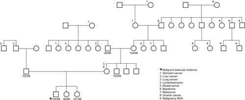 Figure 3 Family 3 pedigree. Seven subjects were sequenced via whole-genome sequencing: proband, unaffected siblings, data, maternal uncle, and maternal grandparents. Females are represented as circles; males are represented as squares. The number next to the pedigree represents the de-identified subject ID.