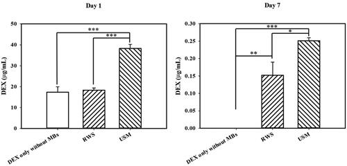 Figure 7. DEX concentrations in the perilymphatic fluid of the inner ear of the groups with USM, RWS and DEX injection without MB at 1 and 7 days after treatment. USMB significantly increased the DEX level of perilymph compared to that of the groups with DEX only with MB and RWS at post-treatment day 1. On post-treatment day 7, the USM group still showed significantly higher DEX levels than the other treatment groups. All graphs represent the mean ± SEM. One-way ANOVA and Tukey’s multiple comparisons test (n = 6 each group). *p < .05.
