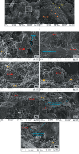 Figure 25. a) morphology of NSPC composites at micro and nano scale, b) HR-SEM images showing microstructure of different NSPC composites.