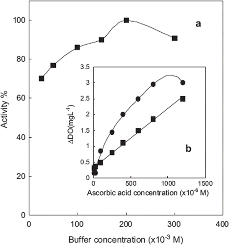 Figure 6. Optimum buffer concentration [a – the effect of buffer concentration on the biosensor response (Ascorbic acid concentration used was of 6×10−4 M), b– calibration graphs obtained with different buffer concentrations (–▪–▪–: 50 mM, –•–•–: 200 mM phosphate buffer). The amount of zucchini tissue homogenate, glutaraldehyde percentage and gelatin were kept constant at 200 μL, 2.5%, and 10mg, respectively. T= 35 °C].