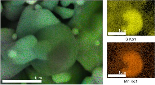 Figure 11. SEM/EDS elemental mapping of sulphide inclusions found on the filter after chemical extraction of specimen E1 (duration: 2 hours in 15-minute sequences).