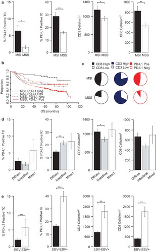 Figure 1. PD-L1, CD3 and CD8 significantly associate with MSI-high and EBV+ samples.GC tissues were examined for changes in PD-L1 expression and immune prevalence. Shown are (a) PD-L1, CD3 and CD8 in MSI and MSS subgroup, (b) Kaplan-Meier estimates of overall survival (OS) according to PD-L1 TC and MSI stratification, (c) Pie charts depict the frequency of patients with high and low CD8, CD3 and with positive and negative PD-L1 TC densities in MSI and MSS populations. The cut-offs used were PD-L1 TC and IC (≥ 1%), CD3 (500 cells/mm2) and CD8 (600 cells/mm2). Also shown are PD-L1, CD3 and CD8 expression in (d) Lauren subgroups and (e) by EBV status. Data were statistically analysed by Mann-Whitney test (MSI, EBV) or KruskalWallis test (Lauren) (*P < 0.05, **p < 0.01, ***p < 0.001, error bars depict ± 1 s.e, TC; tumour cells, IC; immune cells, MSI; microsatellite instable, MSS; microsatellite stable)