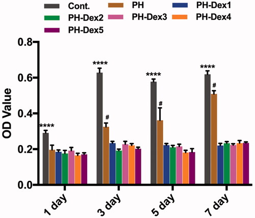 Figure 4. MC3T3-E1 cells proliferation on various scaffolds. Cont.: control group; PH: PLGA/HA group; PH-Dex1: 5% Dex loaded PH group; PH-Dex2: 2% Dex loaded PH group; PH-Dex3: 1% Dex loaded PH A group; PH-Dex4: 0.5% Dex loaded PH group; PH-Dex5: 0.25% Dex loaded PH group. ****p < .0001 vs all the other groups.