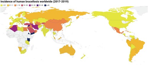 Figure 1. The map of the global brucellosis epidemiological profile (the incidence rates of human brucellosis from public open-source from OIE-WAHIS databases, Table S1).Note: Incidence rate (/100,000) from 2017 to 2019 was used to depict the map of global human brucellosis, the gray indicates areas with no data. The map from Standard Map Services Website (http://bzdt.ch.mnr.gov.cn/), and approval number of map: GS (2016) 1666.